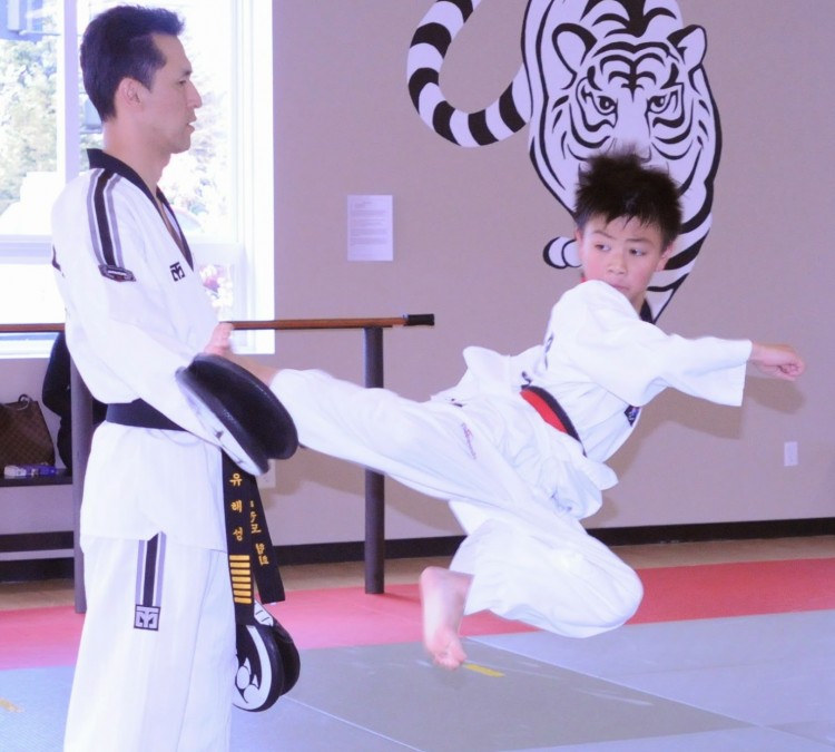 white-tiger-martial-arts-llc-photo